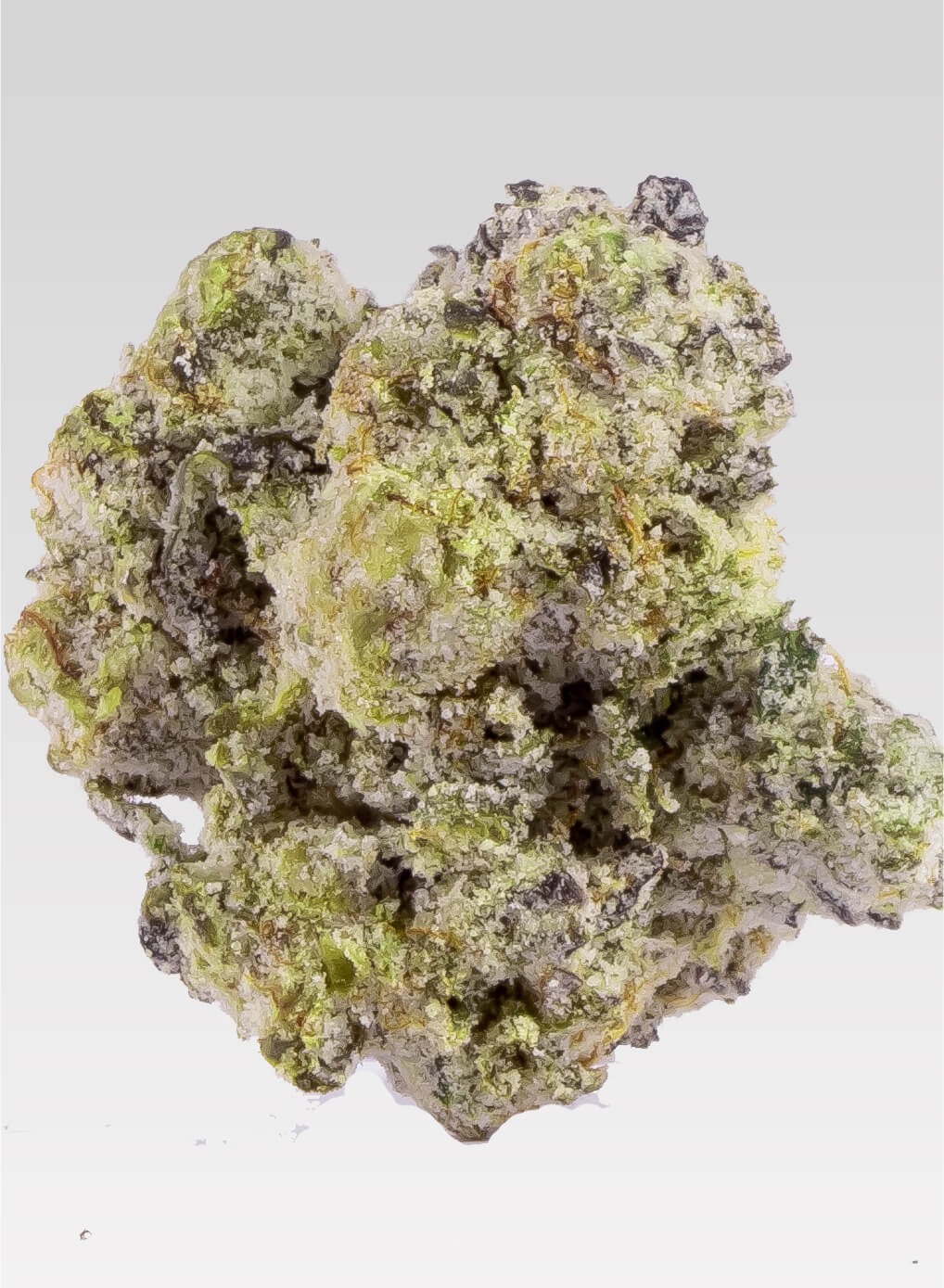 thca flower area52.com thca flower area52.com