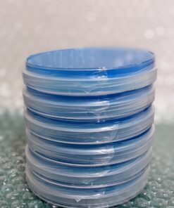 potato dextrose agar